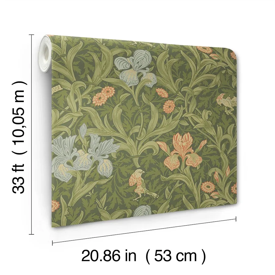 Brewster Home Fashions Iris Green Wild Gardens Wallpaper - SKU 4171-82050