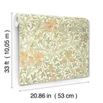 Brewster Home Fashions Iris Light Green Wild Gardens Wallpaper - SKU 4171-82049