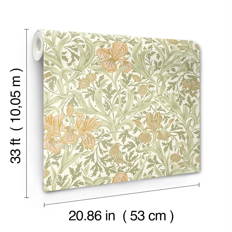 Brewster Home Fashions Iris Light Green Wild Gardens Wallpaper - SKU 4171-82049