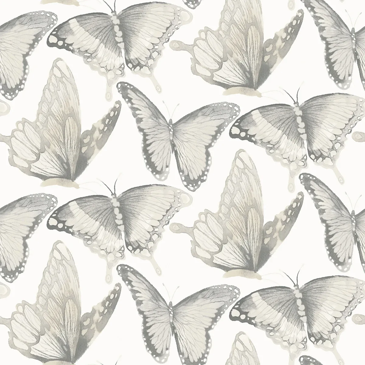 3124-13931 | Janetta Grey Butterfly Wallpaper