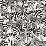 Brewster Home Fashions Jemima Black Zebra Wallpaper | Wallpaper Twins Brewster Home Fashions Jemima Black Zebra Wallpaper - SKU DD347453