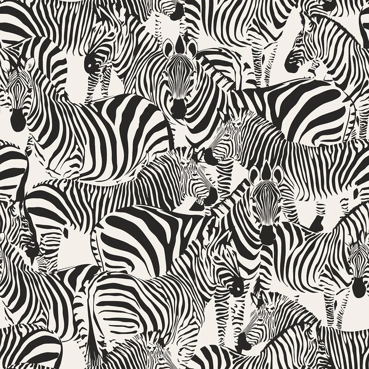 Brewster Home Fashions Jemima Black Zebra Wallpaper - SKU DD347453