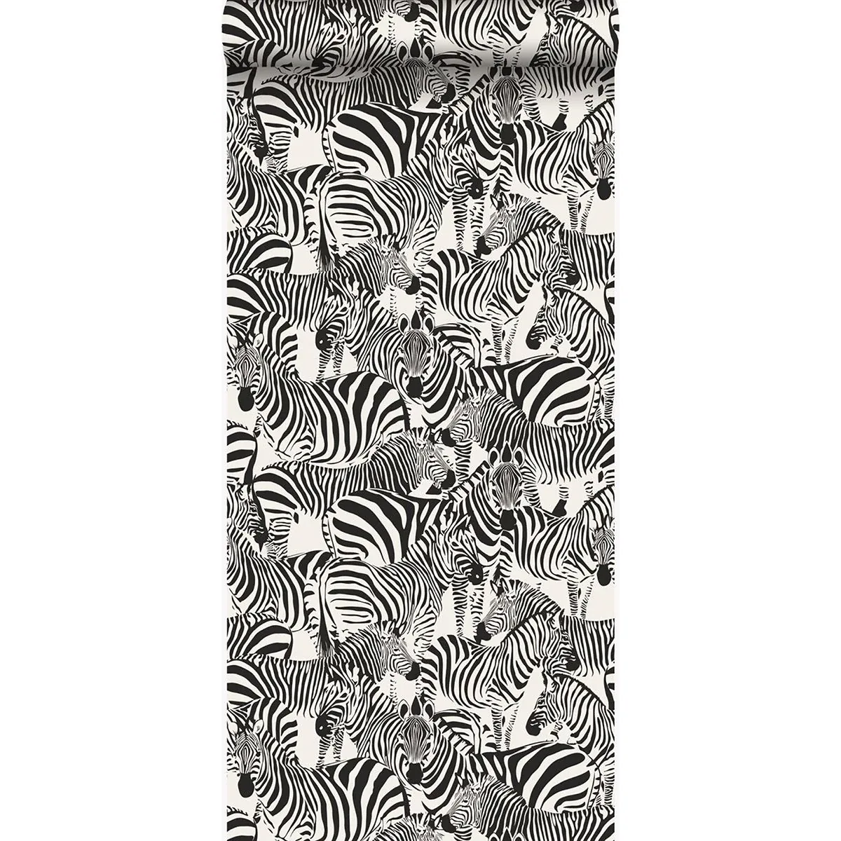 Brewster Home Fashions Jemima Black Zebra Wallpaper | Wallpaper Twins Brewster Home Fashions Jemima Black Zebra Wallpaper - SKU DD347453