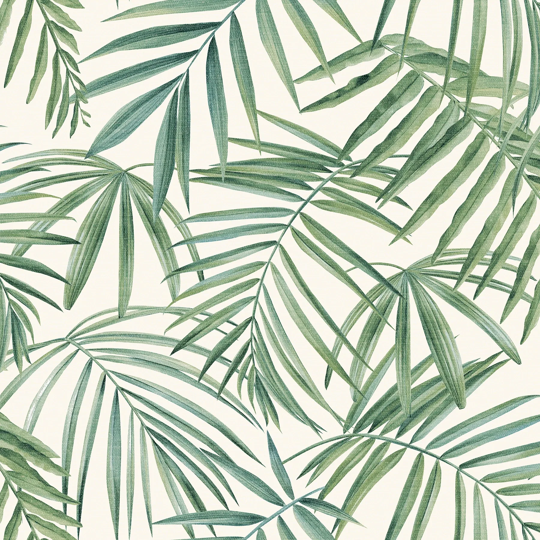 Brewster Home Fashions Juan Green Palm Leaves Wallpaper - SKU AH923909