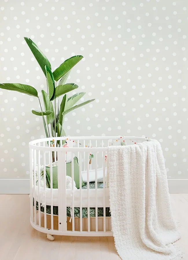 Brewster Home Fashions Jubilee Silver Dots Wallpaper - SKU 4060-347513