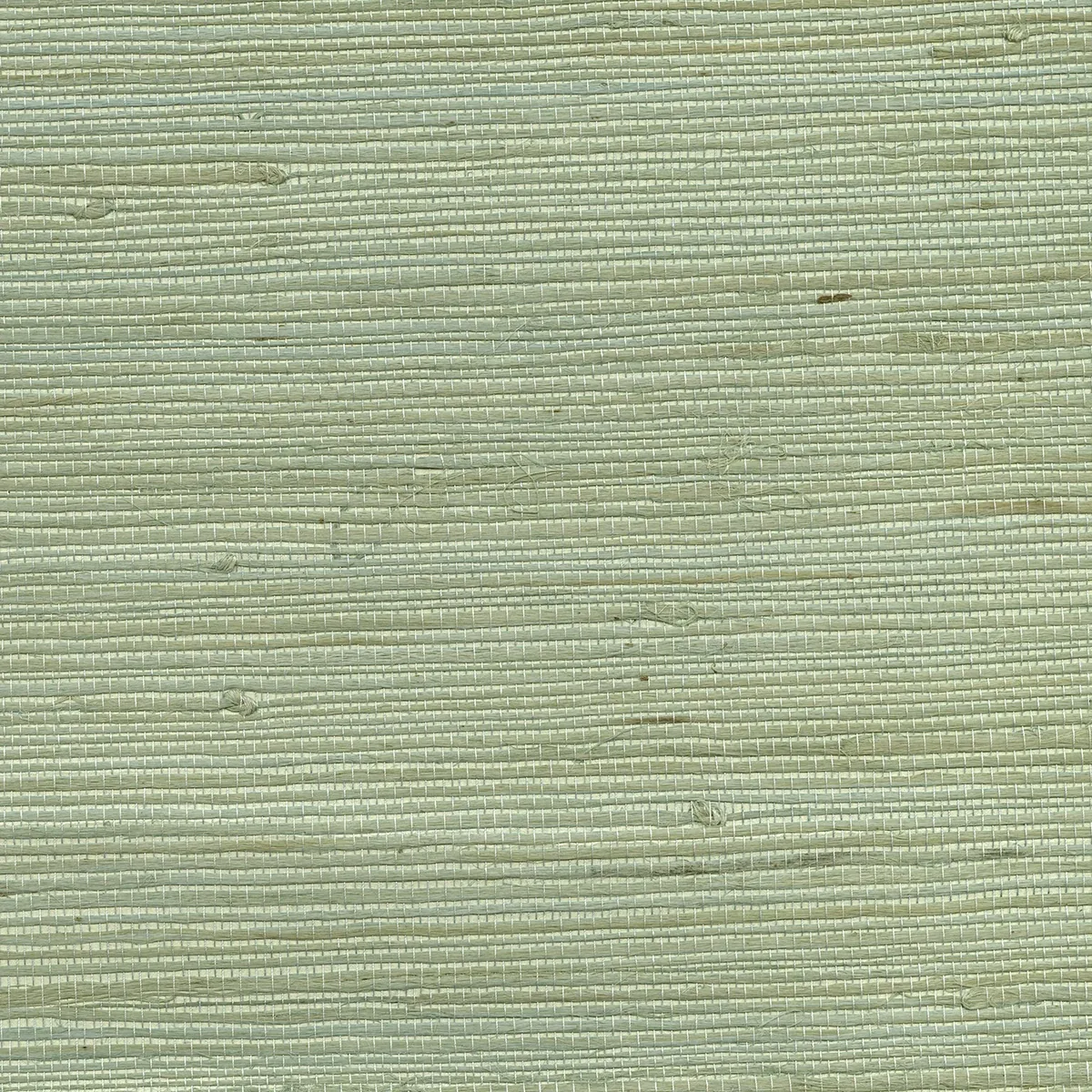 Brewster Home Fashions Kiyoshi Light Green Grasscloth Wallpaper - SKU 53-65609