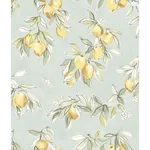 Brewster Home Fashions Lemonade Aqua Citrus Wallpaper | Wallpaper Twins Brewster Home Fashions Lemonade Aqua Citrus Wallpaper - SKU 4134-72508
