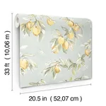 Brewster Home Fashions Lemonade Aqua Citrus Wallpaper | Wallpaper Twins Brewster Home Fashions Lemonade Aqua Citrus Wallpaper - SKU 4134-72508