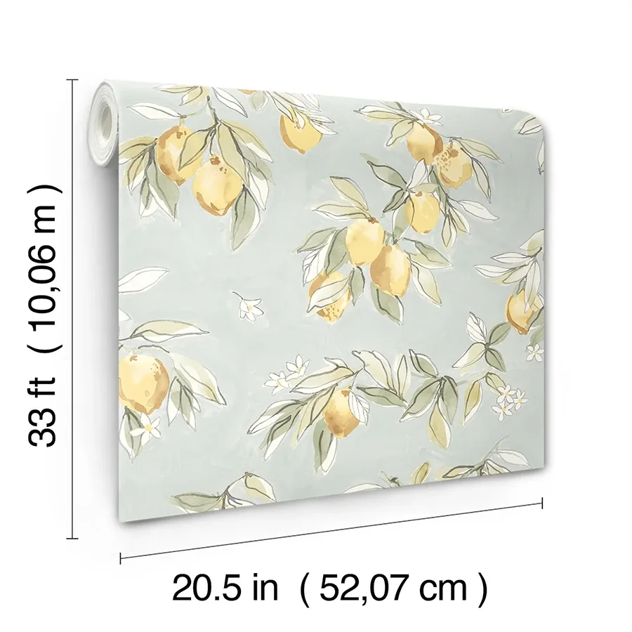 Brewster Home Fashions Lemonade Aqua Citrus Wallpaper | Wallpaper Twins Brewster Home Fashions Lemonade Aqua Citrus Wallpaper - SKU 4134-72508