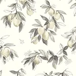 Brewster Home Fashions Lemonade Charcoal Citrus Wallpaper | Wallpaper Twins Brewster Home Fashions Lemonade Charcoal Citrus Wallpaper - SKU 4134-72509