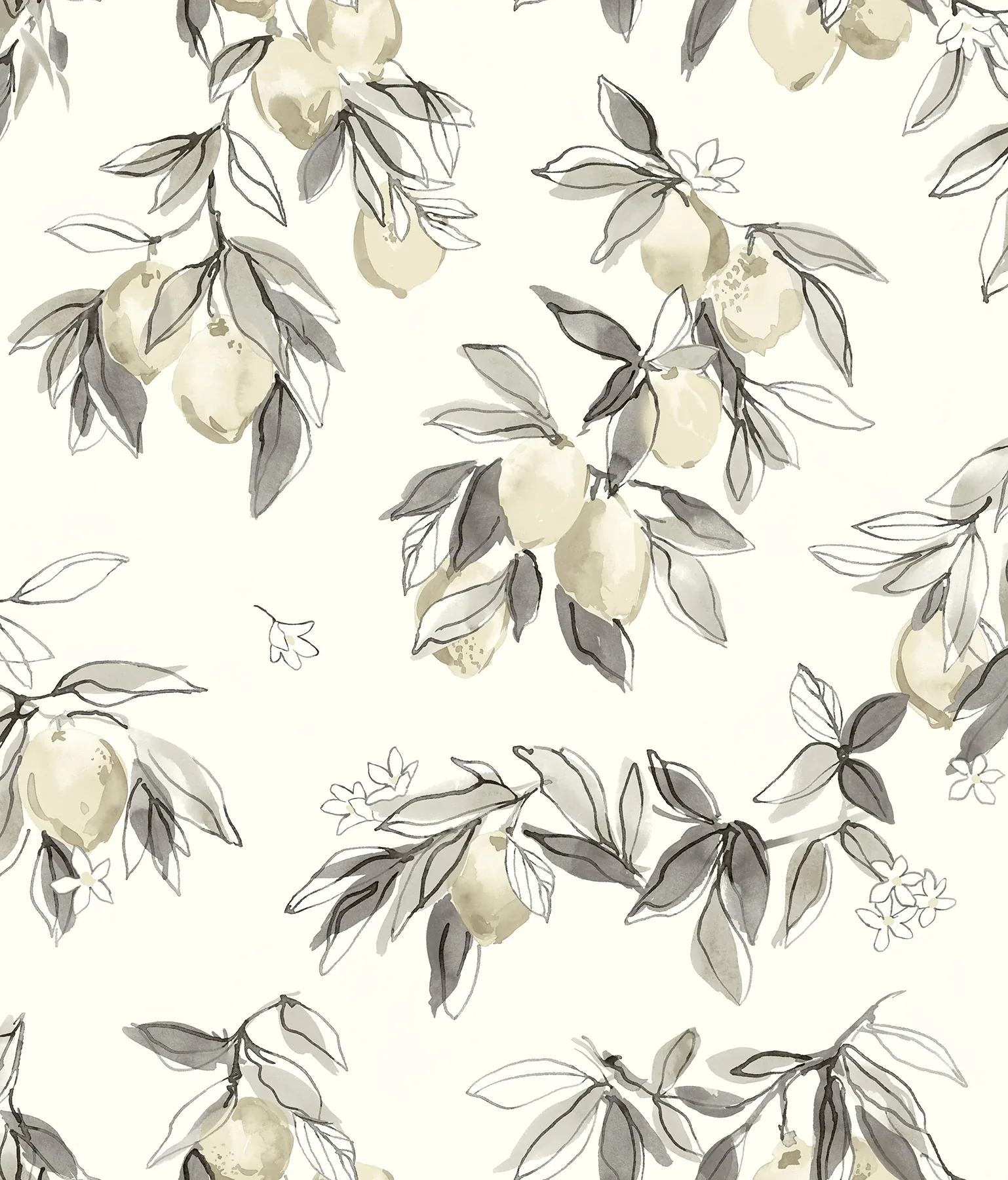 Brewster Home Fashions Lemonade Charcoal Citrus Wallpaper - SKU 4134-72509