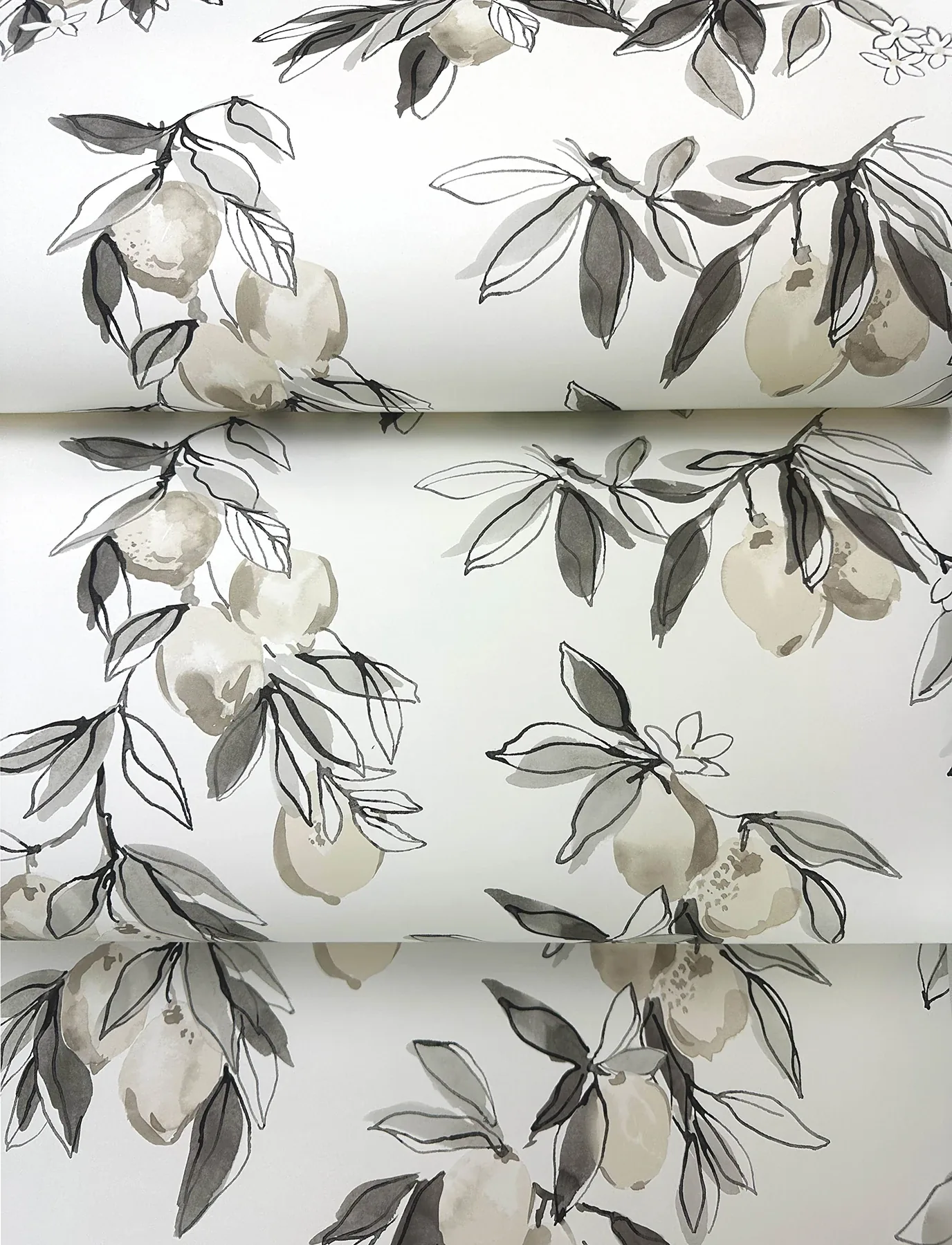 Brewster Home Fashions Lemonade Charcoal Citrus Wallpaper | Wallpaper Twins Brewster Home Fashions Lemonade Charcoal Citrus Wallpaper - SKU 4134-72509