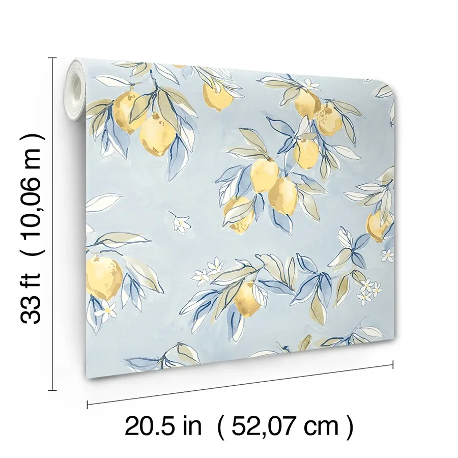 Brewster Home Fashions Lemonade Light Blue Citrus Wallpaper | Wallpaper Twins Brewster Home Fashions Lemonade Light Blue Citrus Wallpaper - SKU 4134-72506