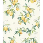 Brewster Home Fashions Lemonade Yellow Citrus Wallpaper | Wallpaper Twins Brewster Home Fashions Lemonade Yellow Citrus Wallpaper - SKU 4134-72510
