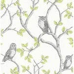 Brewster Home Fashions Linden Green Owl Wallpaper - SKU 2900-40637