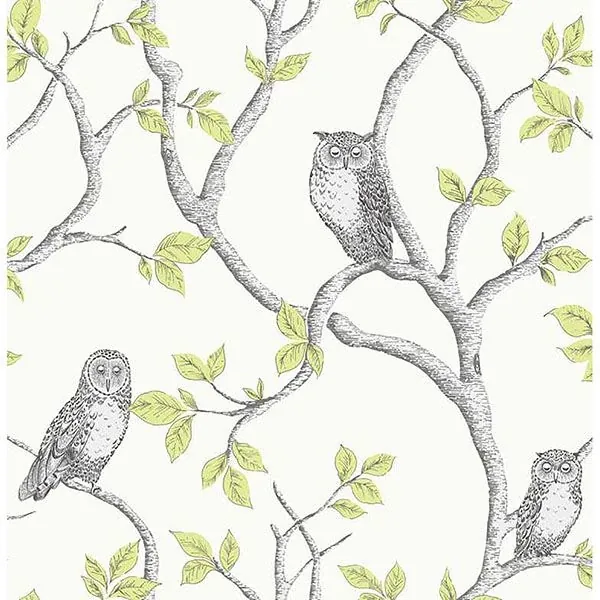 2900-40637 | Linden Green Owl Wallpaper