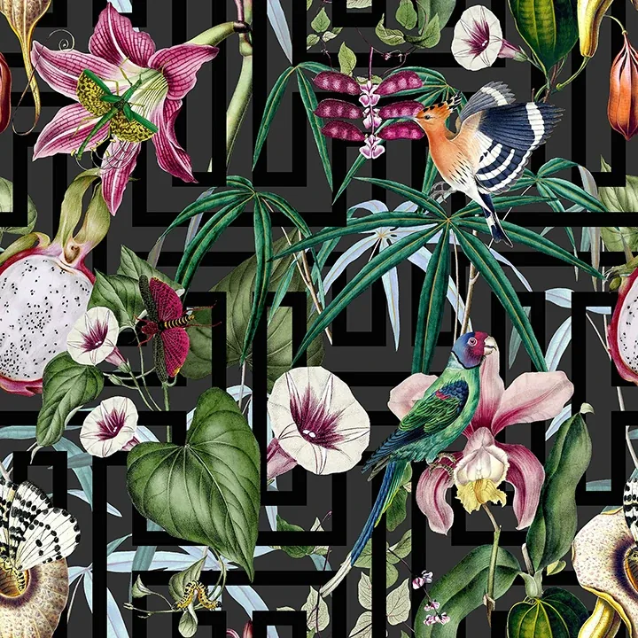 Brewster Home Fashions Lucretia Multicolor Tropical Wallpaper - SKU AH922805