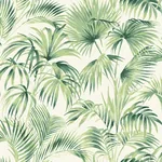 Brewster Home Fashions Manaus Green Palm Frond Wallpaper - SKU 4071-71014