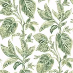Brewster Home Fashions Mangrove Green Botanical Wallpaper | Wallpaper Twins Brewster Home Fashions Mangrove Green Botanical Wallpaper - SKU 3120-13621