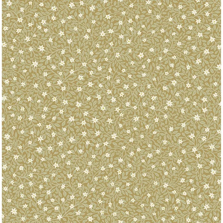 316052 | Marguerite Chartreuse Floral Wallpaper