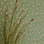Brewster Home Fashions Marguerite Green Floral Wallpaper - SKU 316055