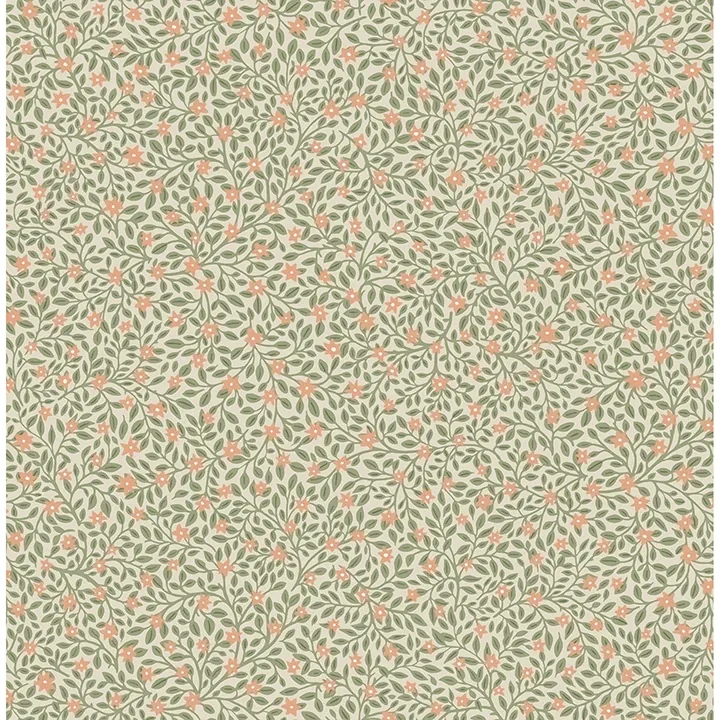 316050 | Marguerite Light Green Floral Wallpaper