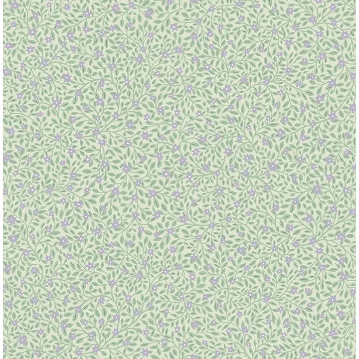 316053 | Marguerite Periwinkle Floral Wallpaper