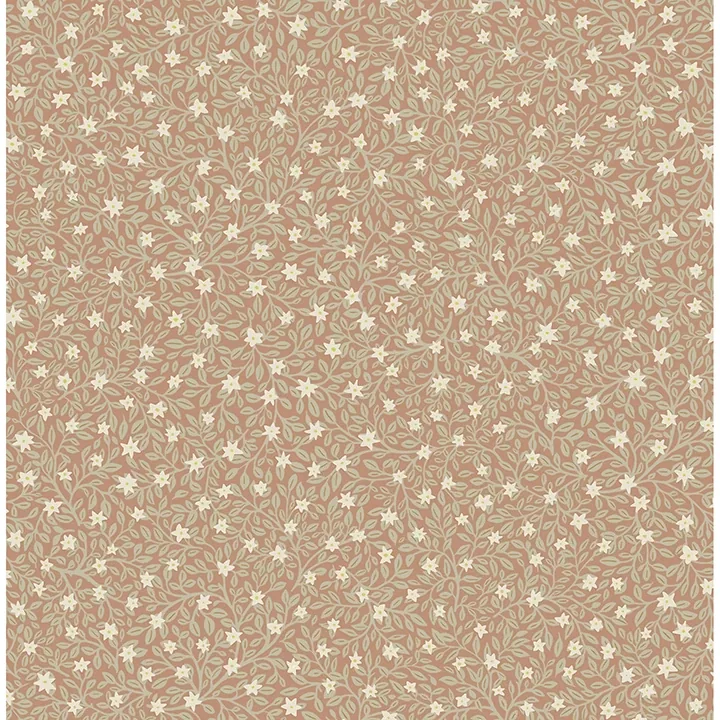 316051 | Marguerite Rose Floral Wallpaper