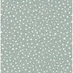 Brewster Home Fashions Marguerite Sea Green Floral Wallpaper | Wallpaper Twins Brewster Home Fashions Marguerite Sea Green Floral Wallpaper - SKU 316054