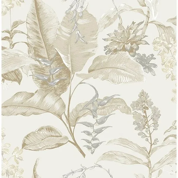 PS41805 | Maui Beige Botanical Wallpaper