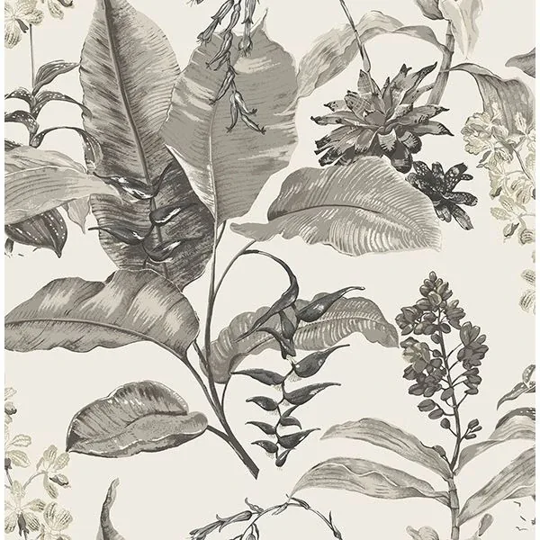 Brewster Home Fashions Maui White Botanical Wallpaper - SKU PS41800