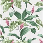 Brewster Home Fashions Meridian Parade Green Tropical Leaves Wallpaper - SKU M1692