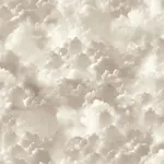 Brewster Home Fashions Merryweather Neutral Cloudy Skies Wallpaper | Wallpaper Twins Brewster Home Fashions Merryweather Neutral Cloudy Skies Wallpaper - SKU AH100189AH