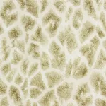 Brewster Home Fashions Montone Beige Giraffe Wallpaper - SKU 2871-88702