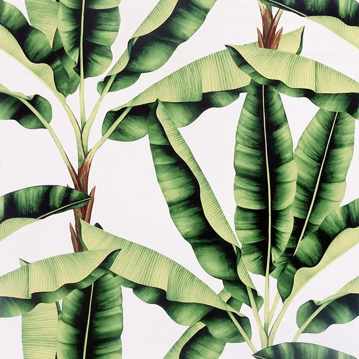 Brewster Home Fashions Musa Green Palm Tree Wallpaper - SKU AH909604