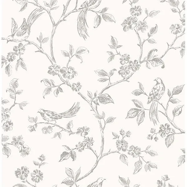 Brewster Home Fashions Ophelia Grey Bird Trail Wallpaper - SKU 2836-24977