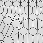Brewster Home Fashions Orson White Trellis Wallpaper - SKU AH909703