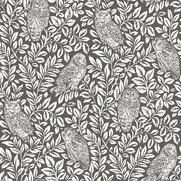 Brewster Home Fashions Parliament Brown Owl Wallpaper - SKU 3115-12415