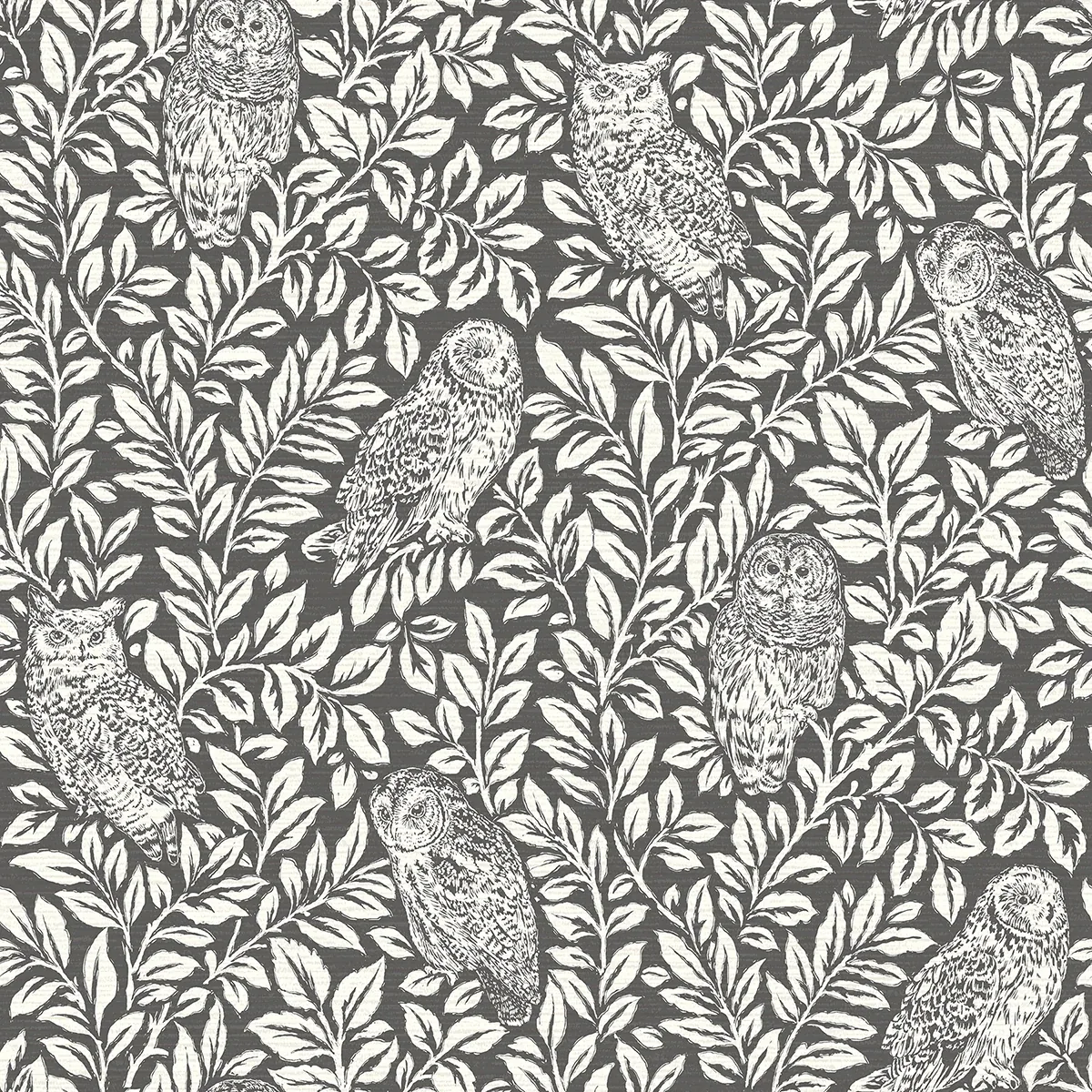 3123-12415 | Parliament Charcoal Owl Wallpaper