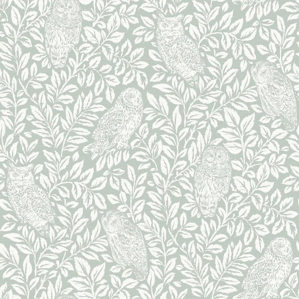 3123-12414 | Parliament Seafoam Owl Wallpaper