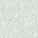 Brewster Home Fashions Parliament Teal Owl Wallpaper - SKU 3115-12414