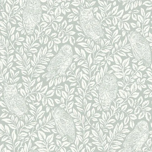 3115-12414 | Parliament Teal Owl Wallpaper