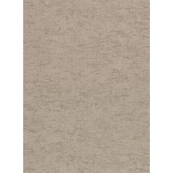 2921-51106 | Pembroke Brown Faux Plaster Wallpaper