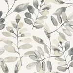 Brewster Home Fashions Pinnate Charcoal Leaves Wallpaper | Wallpaper Twins Brewster Home Fashions Pinnate Charcoal Leaves Wallpaper - SKU 4169-13910