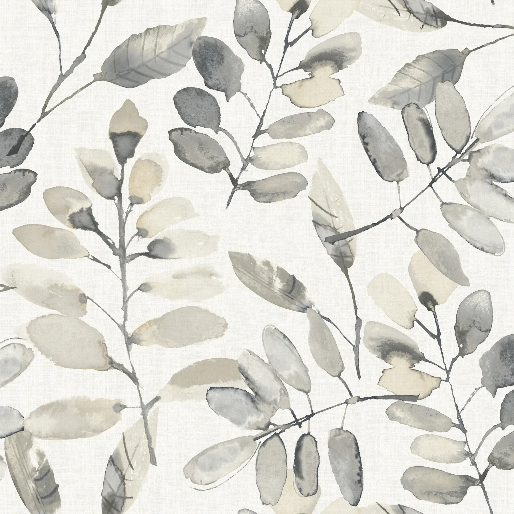 Brewster Home Fashions Pinnate Charcoal Leaves Wallpaper - SKU 4169-13910