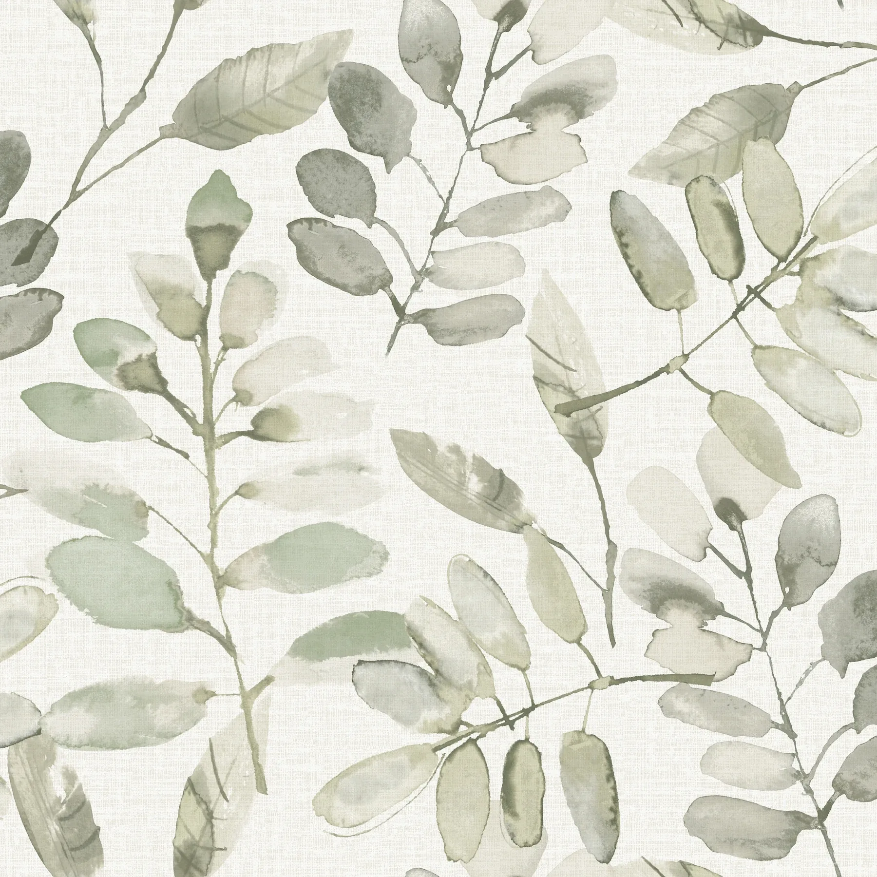 Brewster Home Fashions Pinnate Green Leaves Wallpaper - SKU 4169-13911