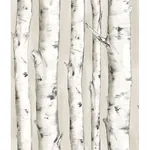 Brewster Home Fashions Pioneer Off White Birch Tree Wallpaper - SKU 3118-12601