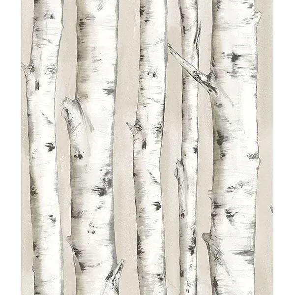 Brewster Home Fashions Pioneer Off White Birch Tree Wallpaper - SKU 3118-12601