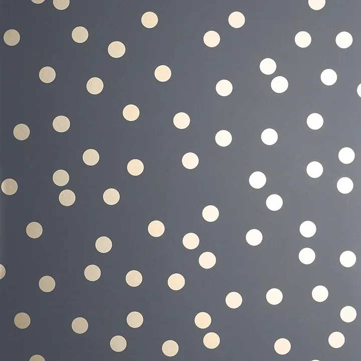 AH685001 | Priscella Charcoal Polka Dot Wallpaper