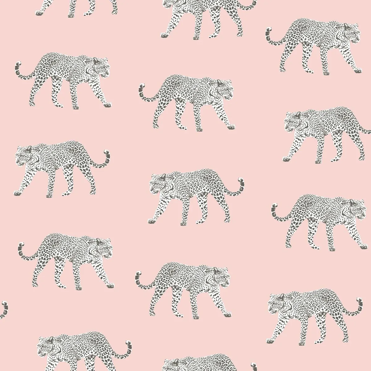 Brewster Home Fashions Prowl Pink Jaguars Wallpaper - SKU DD139177